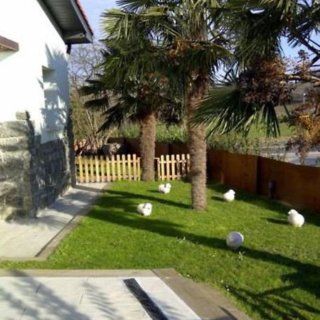 Donosti Garden Apartment San Sebastian Exterior photo